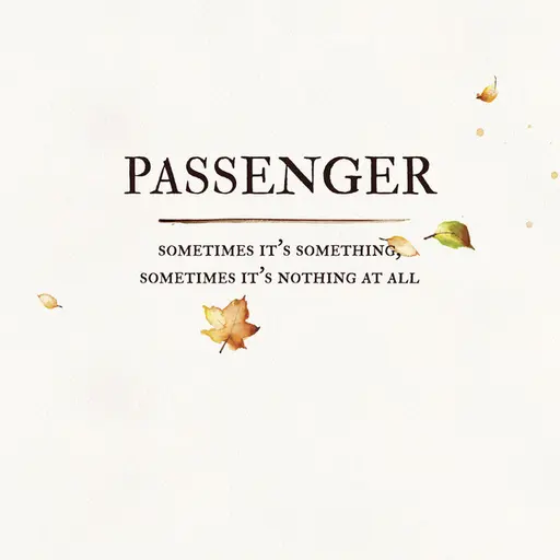 Sometimes It's Something, Sometimes It's Nothing at All • Cały album • Wszystkie utwory • Wykonawca