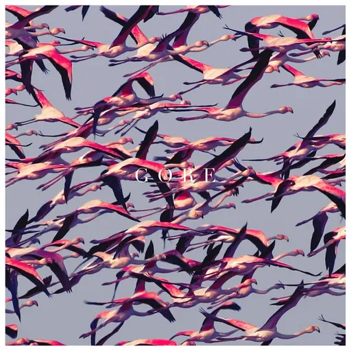 Gore • Cały album • Wszystkie utwory • Wykonawca
