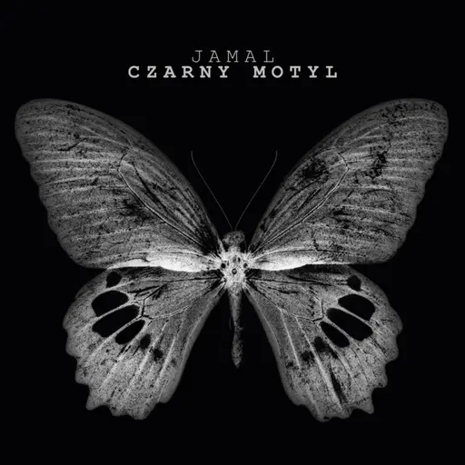 Czarny motyl • Cały album • Wszystkie utwory • Wykonawca