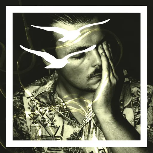 Za nimi (Ptaki Remix) • Cały album • Wszystkie utwory • Wykonawca