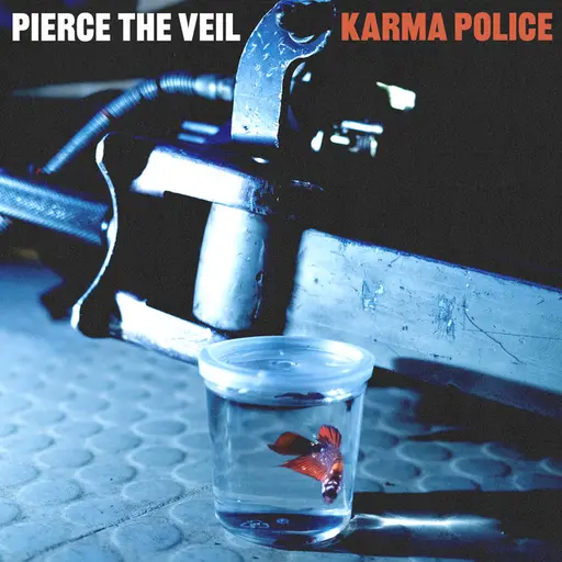 Karma Police • Cały album • Wszystkie utwory • Wykonawca
