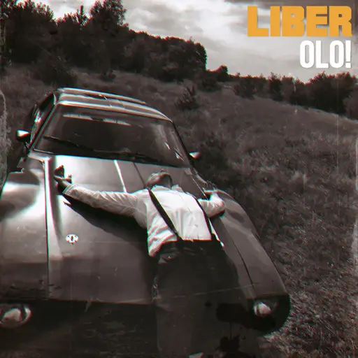 Olo! (prod. DJ Zel) • Cały album • Wszystkie utwory • Wykonawca