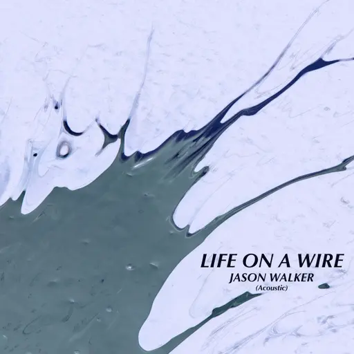 Life on a Wire (Acoustic Version) • Cały album • Wszystkie utwory • Wykonawca