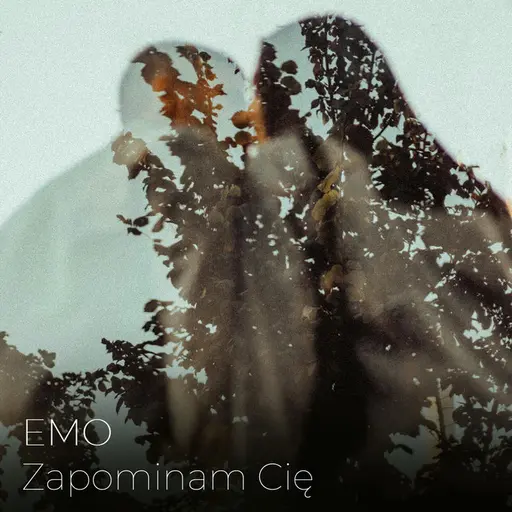 Zapominam Cię • Cały album • Wszystkie utwory • Wykonawca