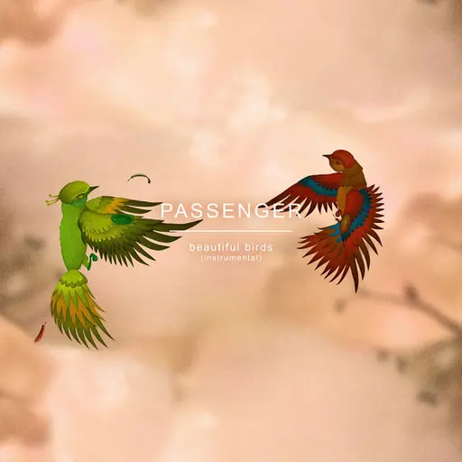 Beautiful Birds (Instrumental) • Cały album • Wszystkie utwory • Wykonawca