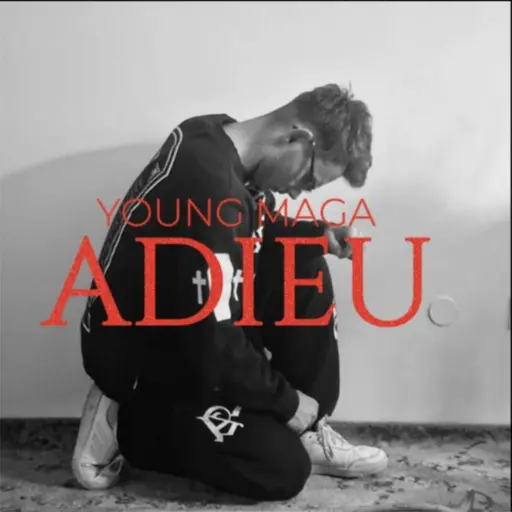 ADIEU • Cały album • Wszystkie utwory • Wykonawca