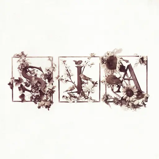Colour The Small One (Deluxe Edition) • Cały album • Wszystkie utwory • Wykonawca