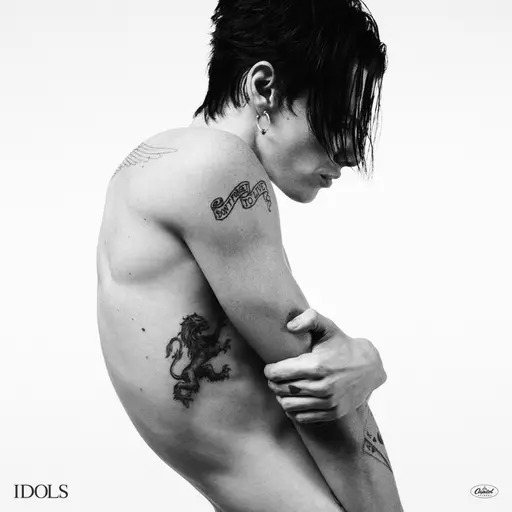 Idols • Cały album • Wszystkie utwory • Wykonawca