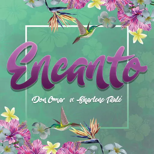 Encanto • Cały album • Wszystkie utwory • Wykonawca