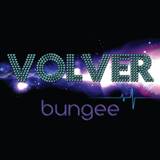 Bungee • Cały album • Wszystkie utwory • Wykonawca