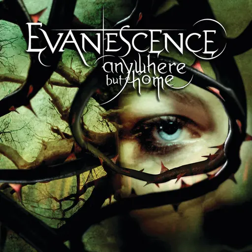 Anywhere But Home (Live) • Cały album • Wszystkie utwory • Wykonawca