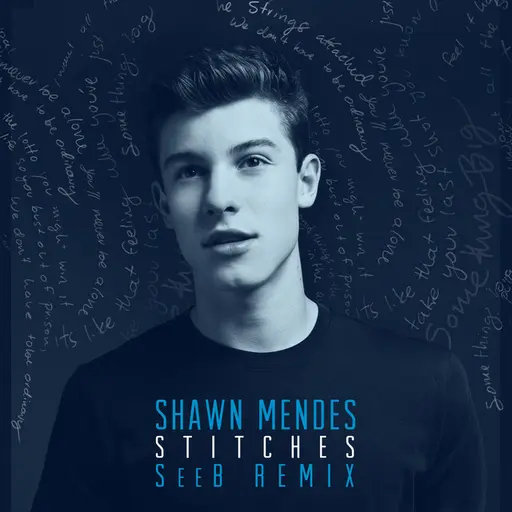 Stitches (Seeb Remix) • Cały album • Wszystkie utwory • Wykonawca