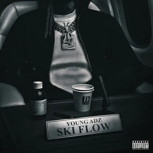 Ski Flow • Cały album • Wszystkie utwory • Wykonawca