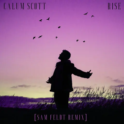 Rise (Sam Feldt Remix) • Cały album • Wszystkie utwory • Wykonawca