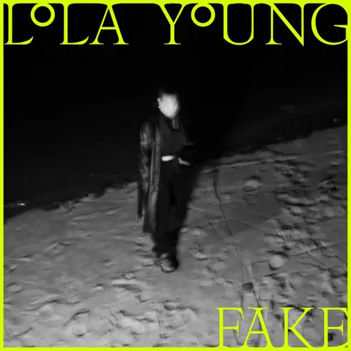 FAKE • Cały album • Wszystkie utwory • Wykonawca