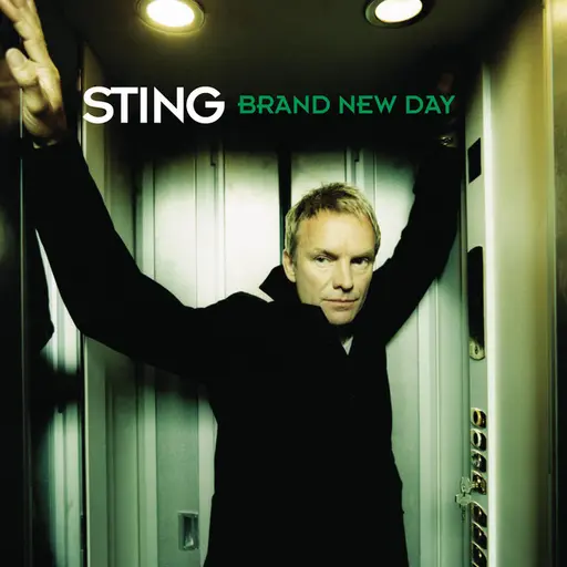 Brand New Day • Cały album • Wszystkie utwory • Wykonawca