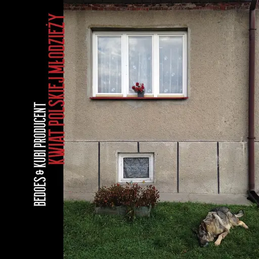 Kwiat polskiej mlodzieży • Cały album • Wszystkie utwory • Wykonawca