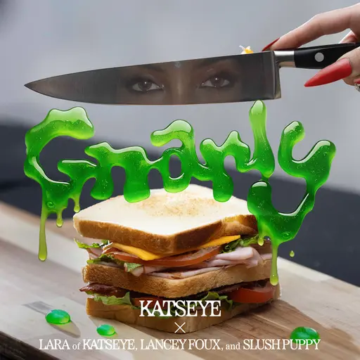 Gnarly (Lara of KATSEYE x Lancey Foux x Slush Puppy Remix) • Cały album • Wszystkie utwory • Wykonawca