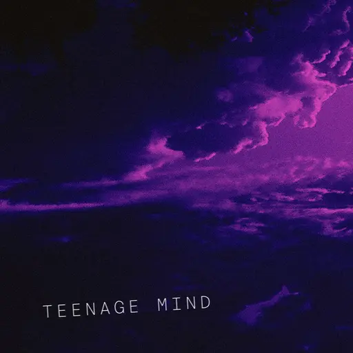 Teenage Mind • Cały album • Wszystkie utwory • Wykonawca