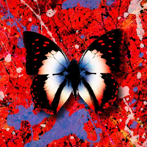 2step (The Remixes) • Cały album • Wszystkie utwory • Wykonawca