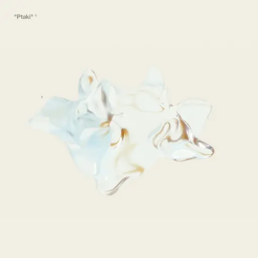 Ptaki • Cały album • Wszystkie utwory • Wykonawca