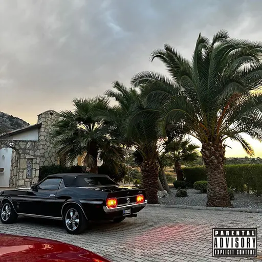 MONEY AND VIBES • Cały album • Wszystkie utwory • Wykonawca