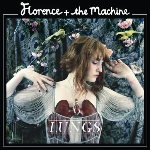 Lungs (International Version) • Cały album • Wszystkie utwory • Wykonawca