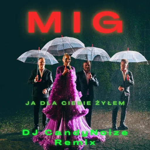 Ja dla Ciebie żyłem (DJ Candy Noize Remix) • Cały album • Wszystkie utwory • Wykonawca