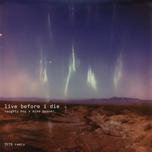 Live Before I Die (Naughty Boy x Mike Posner / TCTS Remix) • Cały album • Wszystkie utwory • Wykonawca