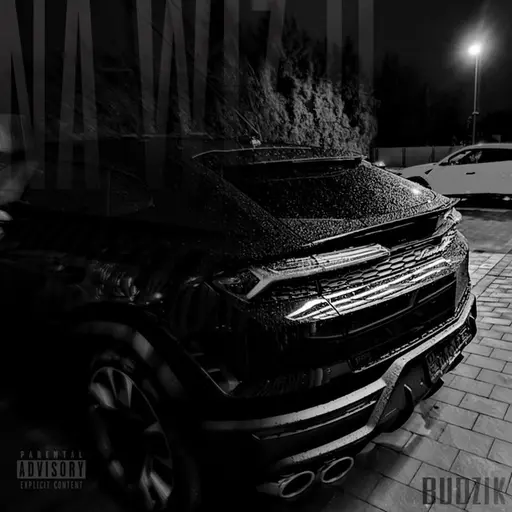 NA WIZJI • Cały album • Wszystkie utwory • Wykonawca