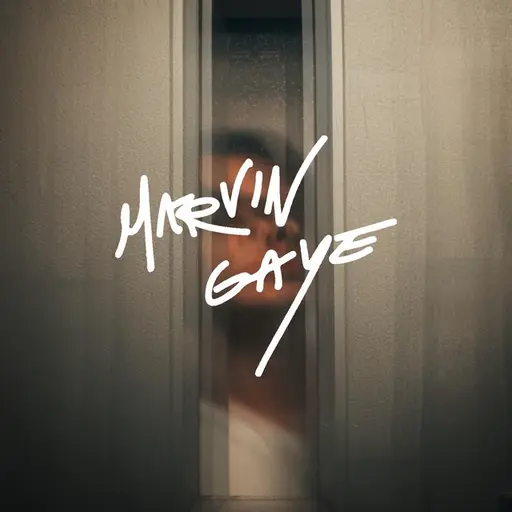 Marvin Gaye • Cały album • Wszystkie utwory • Wykonawca