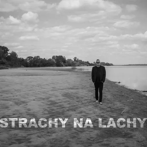 Niebotyczne niebowstąpienie • Cały album • Wszystkie utwory • Wykonawca