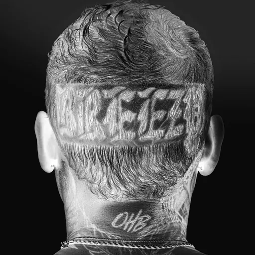 Breezy (Deluxe) • Cały album • Wszystkie utwory • Wykonawca