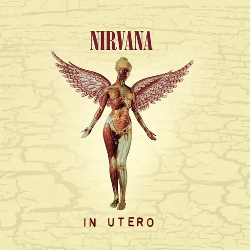 In Utero • Cały album • Wszystkie utwory • Wykonawca