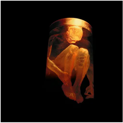 Nothing Safe - The Best Of The Box • Cały album • Wszystkie utwory • Wykonawca