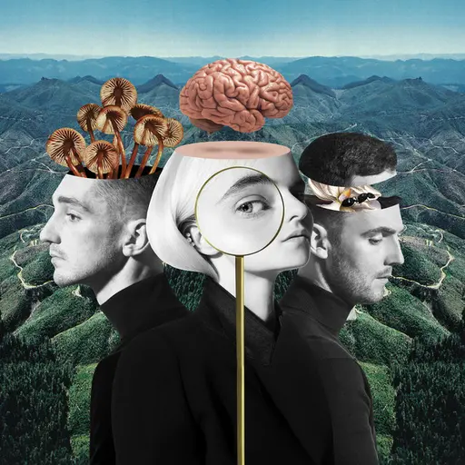 What Is Love? (Deluxe Edition) • Cały album • Wszystkie utwory • Wykonawca