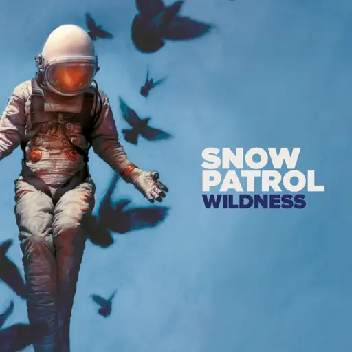 Wildness (Deluxe) • Cały album • Wszystkie utwory • Wykonawca