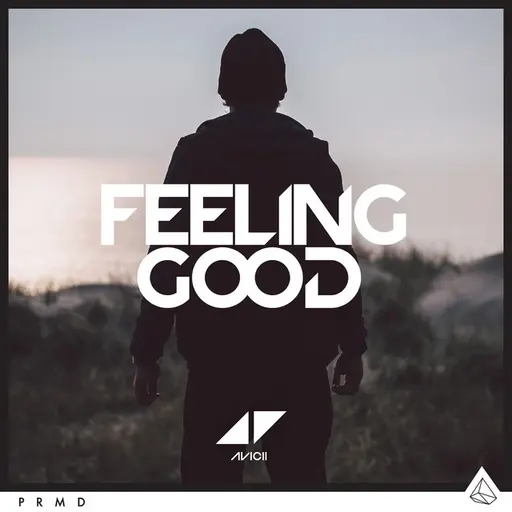 Feeling Good • Cały album • Wszystkie utwory • Wykonawca
