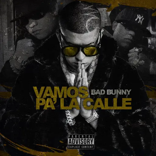 Vamos Pa' la Calle • Cały album • Wszystkie utwory • Wykonawca