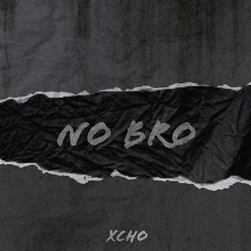 No bro • Cały album • Wszystkie utwory • Wykonawca