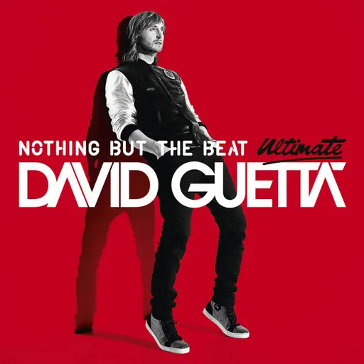 Nothing but the Beat (Ultimate Edition) • Cały album • Wszystkie utwory • Wykonawca
