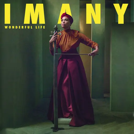 Wonderful Life (Stream Jockey Rework) • Cały album • Wszystkie utwory • Wykonawca