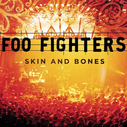 Skin And Bones (Live) • Cały album • Wszystkie utwory • Wykonawca