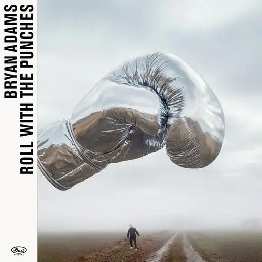 Roll With The Punches • Cały album • Wszystkie utwory • Wykonawca