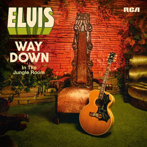 Way Down in the Jungle Room • Cały album • Wszystkie utwory • Wykonawca