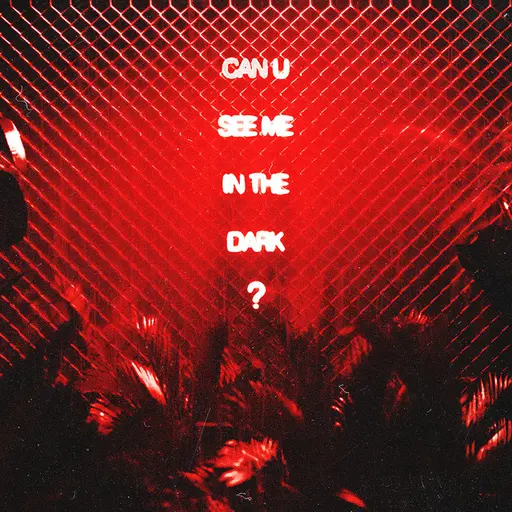 can u see me in the dark? • Cały album • Wszystkie utwory • Wykonawca