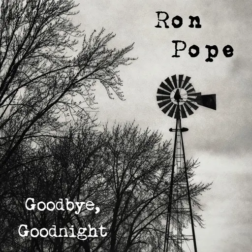Goodbye, Goodnight • Cały album • Wszystkie utwory • Wykonawca