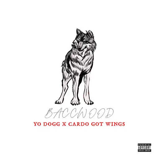 Baccwood • Cały album • Wszystkie utwory • Wykonawca