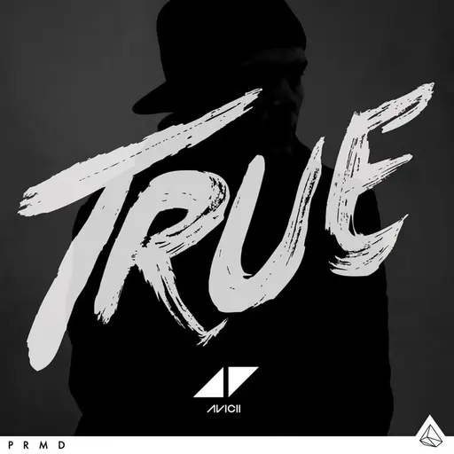 True (Bonus Edition) • Cały album • Wszystkie utwory • Wykonawca