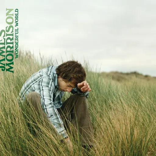 Wonderful World • Cały album • Wszystkie utwory • Wykonawca